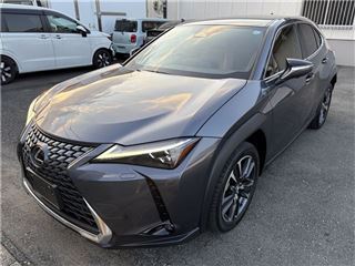 2024 LEXUS UX UX300h Version L photo 4