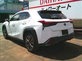 2024 LEXUS UX UX300h “F SPORT” photo 2