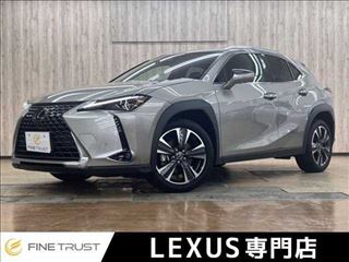 2024 LEXUS UX UX300h version L