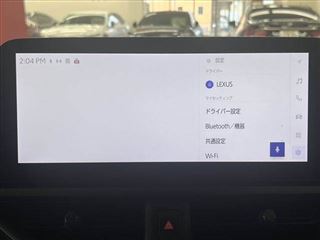 2024 LEXUS UX UX300h version L photo 5