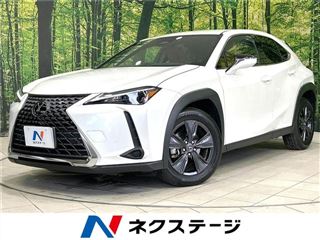 2024 LEXUS UX UX300h photo 4
