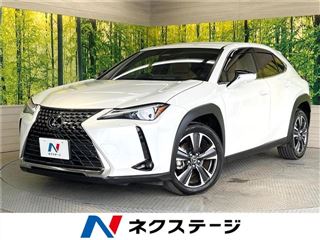 2024 LEXUS UX UX300h Version L photo 4