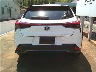 2024 LEXUS UX UX300h “F SPORT” photo 4
