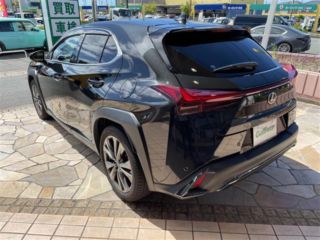 2024 LEXUS UX 300h F Sport photo 2