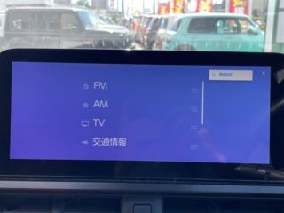 2024 LEXUS UX 300h F Sport photo 5