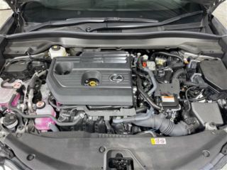 2024 LEXUS UX 300h Version L photo 3