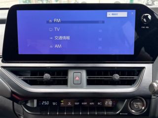2024 LEXUS UX 300h F Sport photo 5