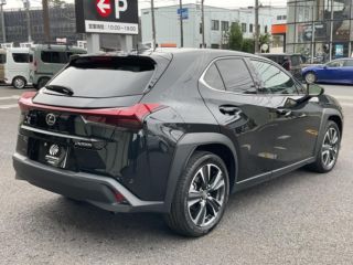 2024 LEXUS UX 2000 UX300h version L 5-door FCVT 2WD 5-seater photo 2