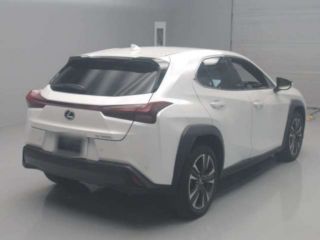 2024 LEXUS UX UX300h Version L photo 2