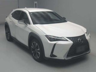 2024 LEXUS UX UX300h Version L photo 3