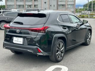 2024 LEXUS UX h F Sport photo 2