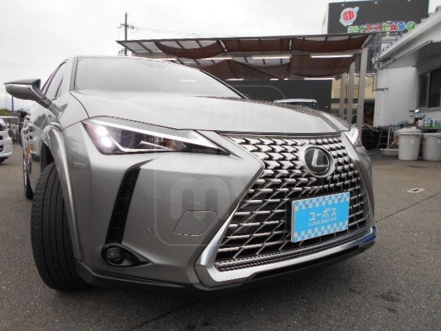 2023 LEXUS UX UX250h Graceful Explorer