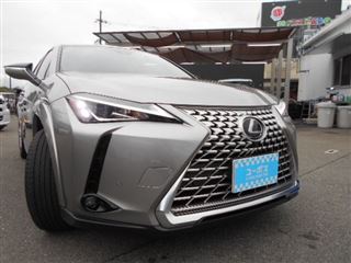 2023 LEXUS UX UX250h Graceful Explorer