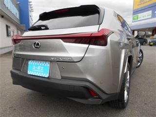 2023 LEXUS UX UX250h Graceful Explorer photo 2