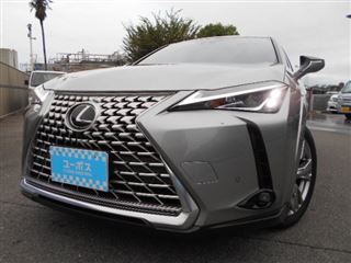 2023 LEXUS UX UX250h Graceful Explorer photo 5