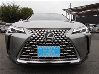 2023 LEXUS UX UX250h Graceful Explorer photo 4
