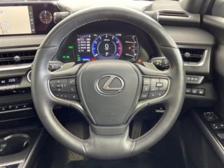 2022 LEXUS UX 250h Elegant Black 4WD photo 4