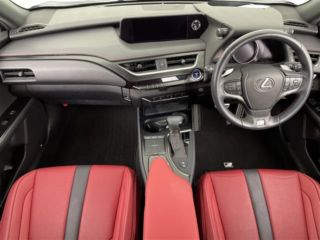 2022 LEXUS UX 250h F Sport 4WD photo 3