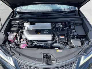 2023 LEXUS UX 250h F Sport 4WD photo 3