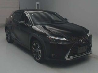 2023 LEXUS UX UX250h Version L 4WD photo 3