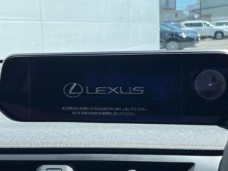 2022 LEXUS UX UX250h Elegant Black photo 3