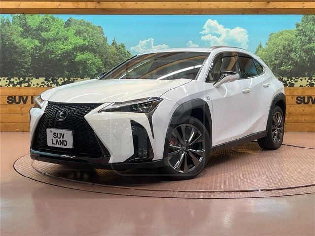 2024 LEXUS UX UX300h F Sport