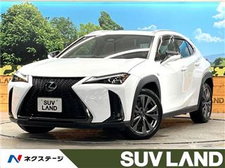 2024 LEXUS UX UX300h F Sport photo 4