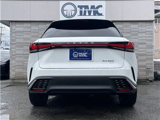 2025 LEXUS RX RX350 F Sport photo 5
