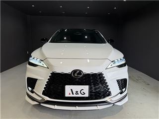 2025 LEXUS RX RX350 F Sport 4WD photo 2