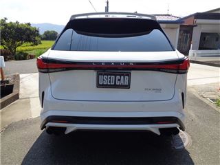 2025 LEXUS RX 350F Sport AWD photo 2