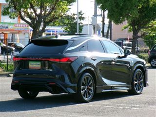 2025 LEXUS RX RX350 F Sport photo 5