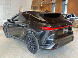 2024 LEXUS RX 350 F Sport 4WD photo 2