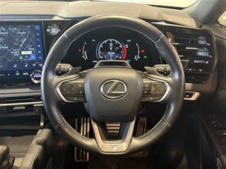 2024 LEXUS RX 350 F Sport 4WD photo 5