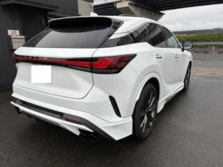 2025 LEXUS RX RX350 F Sport photo 2
