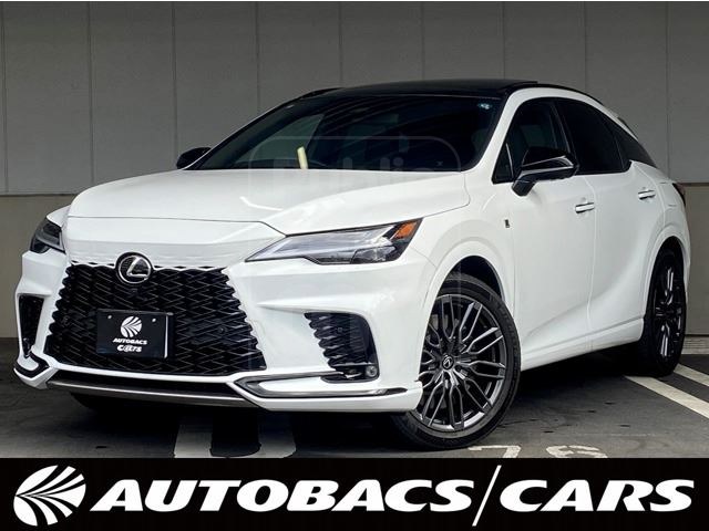 2024 LEXUS RX 4WD Panoramic Roof