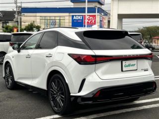 2024 LEXUS RX 500h F Sport Performance 4WD photo 5