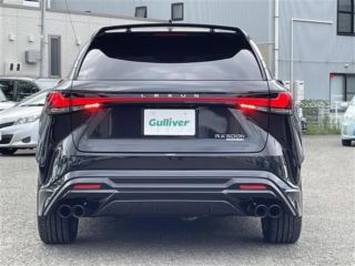 2024 LEXUS RX 500h F Sport Performance 4WD photo 5