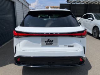 2023 LEXUS RX 4WD h F Sport Aero Package Performance photo 5