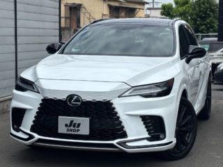 2023 LEXUS RX RX500h F Sport Performance Panoramic View
