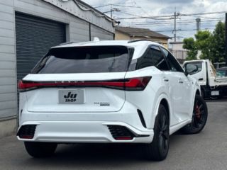 2023 LEXUS RX RX500h F Sport Performance Panoramic View photo 2