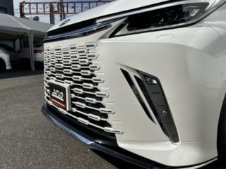 2024 LEXUS LM 500h Version L 4WD photo 3