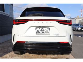 2025 LEXUS NX 350 F Sport 4WD photo 2