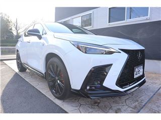 2025 LEXUS NX 350 F Sport 4WD photo 5