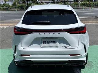 2022 LEXUS NX NX350 F Sport 4WD photo 2