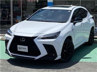 2022 LEXUS NX NX350 F Sport 4WD photo 4