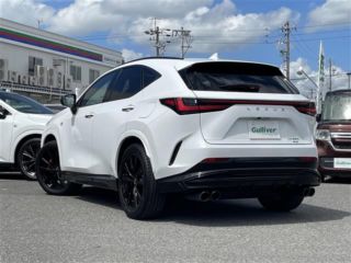 2024 LEXUS NX 350 F Sport 4WD photo 2