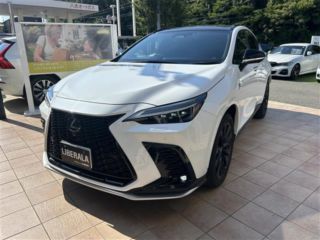2023 LEXUS NX 350 F Sport 4WD