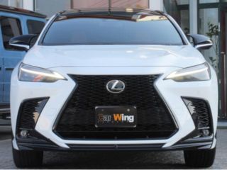 2025 LEXUS NX NX350 F Sport photo 2