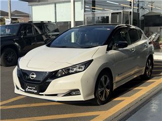 2021 NISSAN LEAF e+G