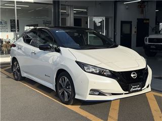 2021 NISSAN LEAF e+G photo 3